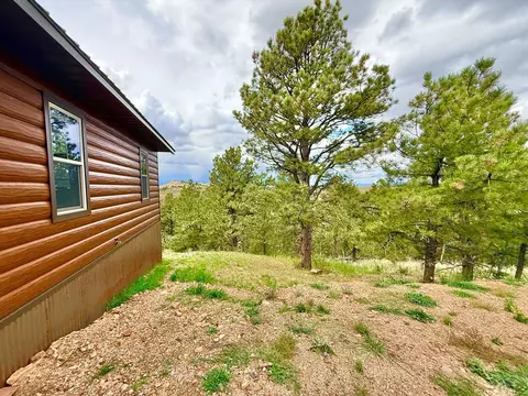 Exterior - 741 Junkins Loop, Westcliffe, CO 81252 photo 14 of 14