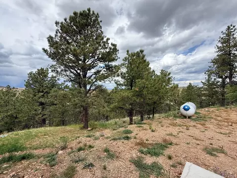 Exterior - 741 Junkins Loop, Westcliffe, CO 81252 photo 2 of 14