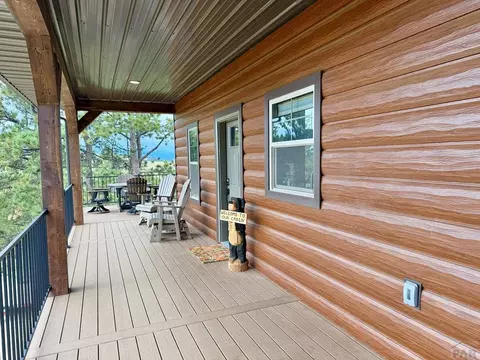 Exterior - 741 Junkins Loop, Westcliffe, CO 81252 photo 4 of 14