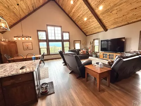 Living - 741 Junkins Loop, Westcliffe, CO 81252 photo 5 of 13
