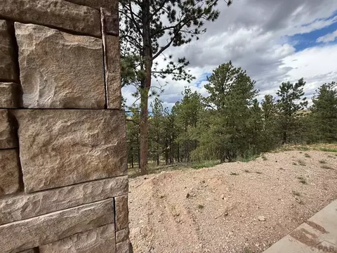 Other - 741 Junkins Loop, Westcliffe, CO 81252 photo 13 of 26