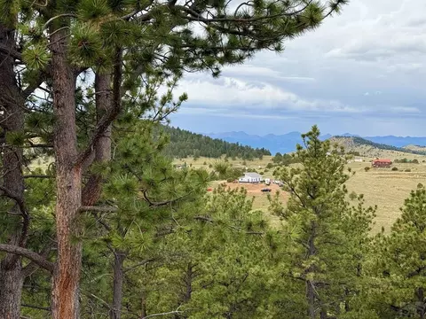 Other - 741 Junkins Loop, Westcliffe, CO 81252 photo 23 of 26