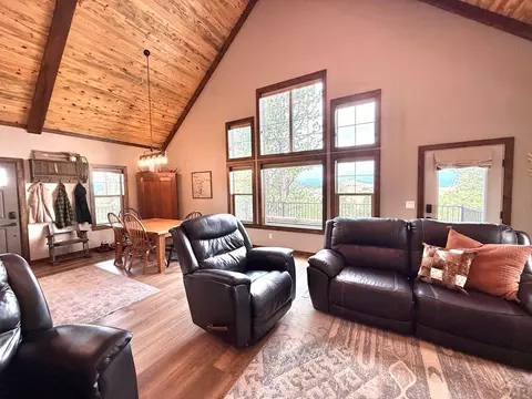 Living - 741 Junkins Loop, Westcliffe, CO 81252 photo 9 of 13