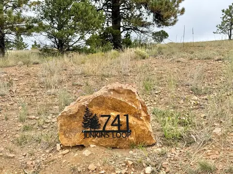 Other - 741 Junkins Loop, Westcliffe, CO 81252 photo 1 of 26