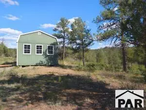 13115 W Silver Spruce Cir, Weston, CO 81091