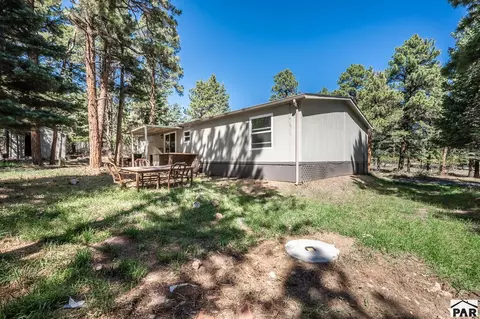 Exterior - 8220 Maple Dr, Rye, CO 81069 photo 5 of 6
