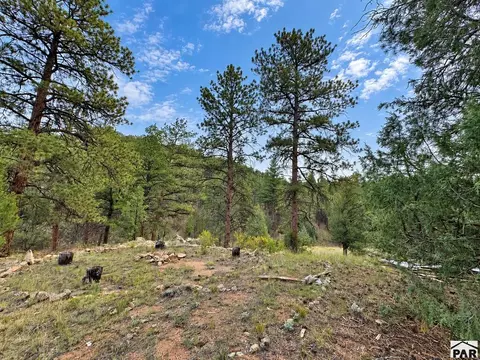 tbd K Path, Cotopaxi, CO 81223 photo 17