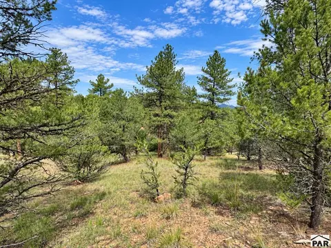 tbd K Path, Cotopaxi, CO 81223 photo 29