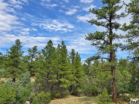tbd K Path, Cotopaxi, CO 81223 photo 28