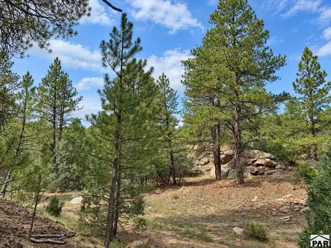 tbd K Path, Cotopaxi, CO 81223 photo 30