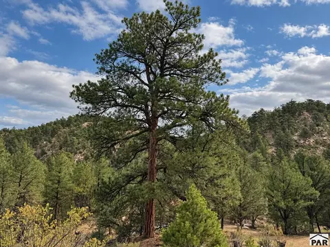 tbd K Path, Cotopaxi, CO 81223 photo 23