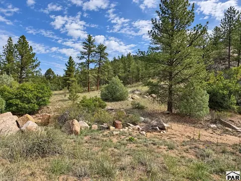 tbd K Path, Cotopaxi, CO 81223 photo 27