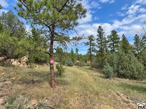tbd K Path, Cotopaxi, CO 81223 photo 3