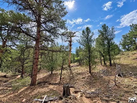 tbd K Path, Cotopaxi, CO 81223 photo 32