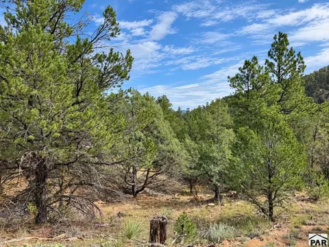 tbd K Path, Cotopaxi, CO 81223 photo 20