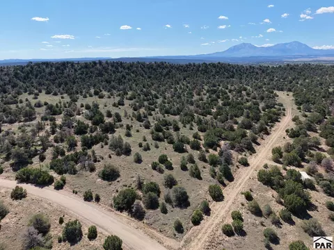 tbd Cuerno Verde Rd, Walsenburg, CO 81089 photo 3