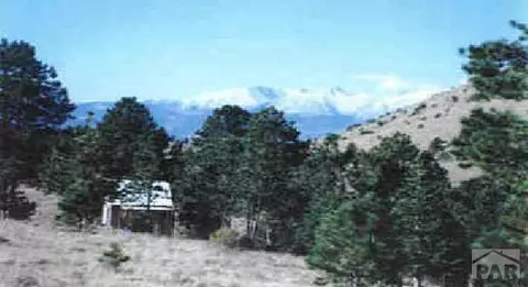 208 Junkins Loop, Westcliffe, CO 81252 photo 1
