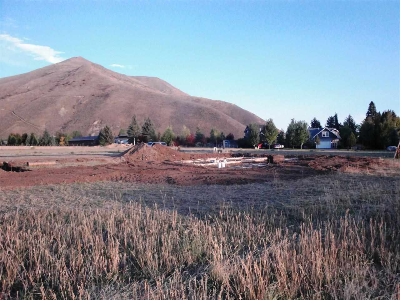 510 Chestnut Loop, Bellevue, ID 83313 photo 1