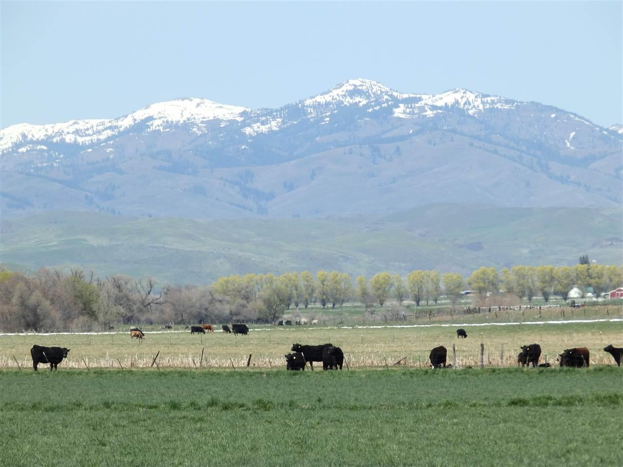 999 Mann Creek Rd, Weiser, ID 83672 photo 1