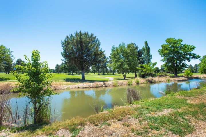 2169 Skokie, Eagle, ID 83616 photo 1