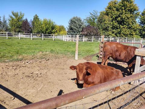 3982 N 3500 E, Kimberly, ID 83341 photo 31