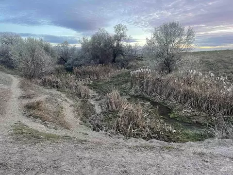 525 E 150 S, Burley, ID 83318 photo 14
