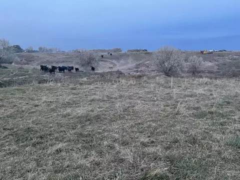 525 E 150 S, Burley, ID 83318 photo 7
