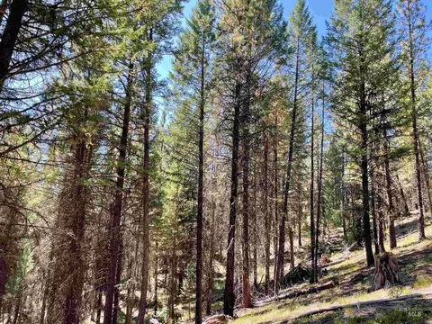 tbd 1-1 Horsethief Rd, Cascade, ID 83611 photo 6