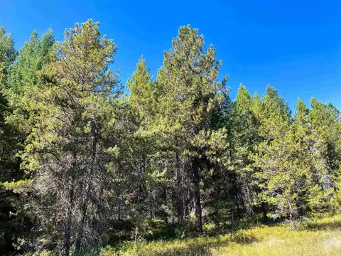 tbd 1-1 Horsethief Rd, Cascade, ID 83611 photo 3