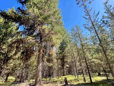tbd 1-1 Horsethief Rd, Cascade, ID 83611 photo 10