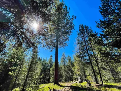 tbd 1-1 Horsethief Rd, Cascade, ID 83611 photo 2
