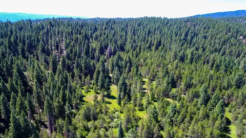 tbd 1-3 Horsethief Rd, Cascade, ID 83611 photo 2