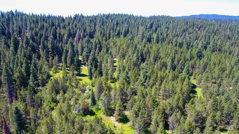 tbd 1-3 Horsethief Rd, Cascade, ID 83611 photo 7