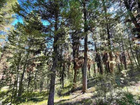 tbd 1-3 Horsethief Rd, Cascade, ID 83611 photo 6