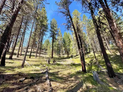 tbd 1-3 Horsethief Rd, Cascade, ID 83611 photo 8