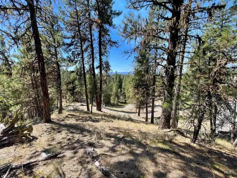 tbd 1-3 Horsethief Rd, Cascade, ID 83611 photo 4