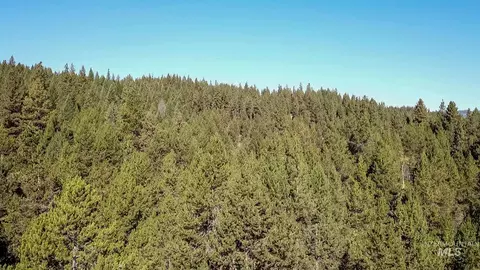 tbd 1-3 Horsethief Rd, Cascade, ID 83611 photo 3