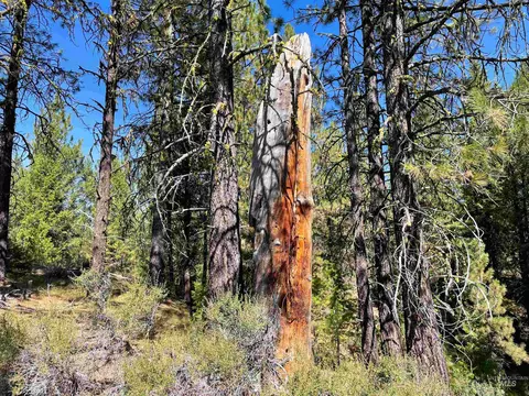 tbd 1-3 Horsethief Rd, Cascade, ID 83611 photo 10