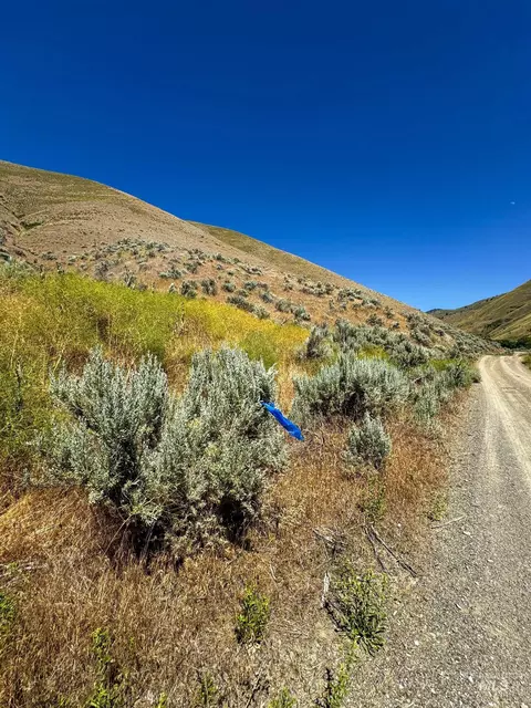 lot1 Parcel 1 Dennett Creek Rd, Weiser, ID 83672