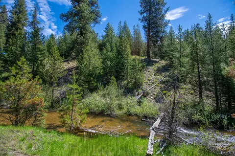 tbd 39 Clear Creek Rd, Cascade, ID 83611 photo 5
