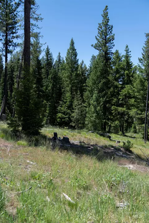 tbd 33 Clear Creek Rd, Cascade, ID 83611 photo 6