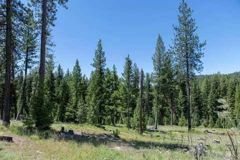 tbd 33 Clear Creek Rd, Cascade, ID 83611 photo 5