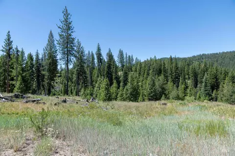 tbd 33 Clear Creek Rd, Cascade, ID 83611 photo 10