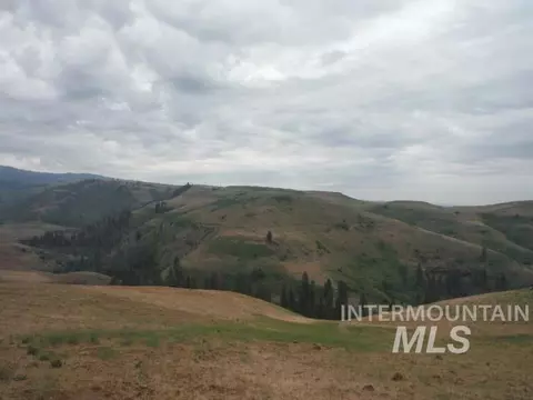 lot4 Middle Fork Rd, Council, ID 83612