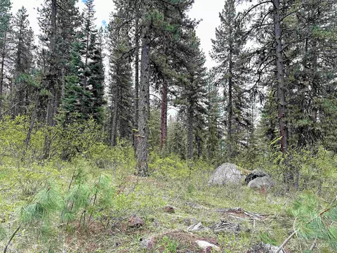 tbd 2 Elo Rd, Mccall, ID 83638 photo 2