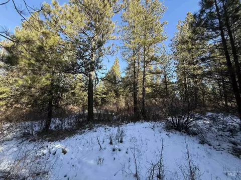tbd Liberty Ln, Viola, ID 83872 photo 38