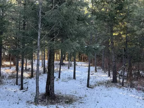 tbd Liberty Ln, Viola, ID 83872 photo 23