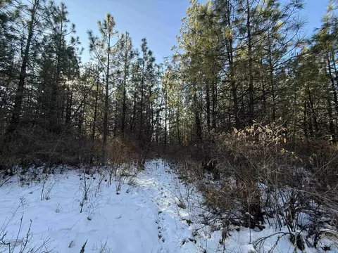tbd Liberty Ln, Viola, ID 83872 photo 37