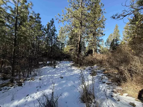 tbd Liberty Ln, Viola, ID 83872 photo 29