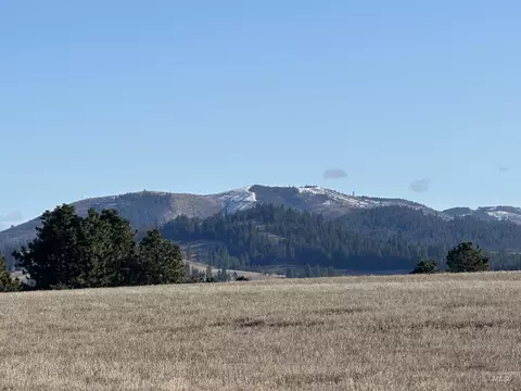 000 Wendt Rd, Kendrick, ID 83537 photo 35